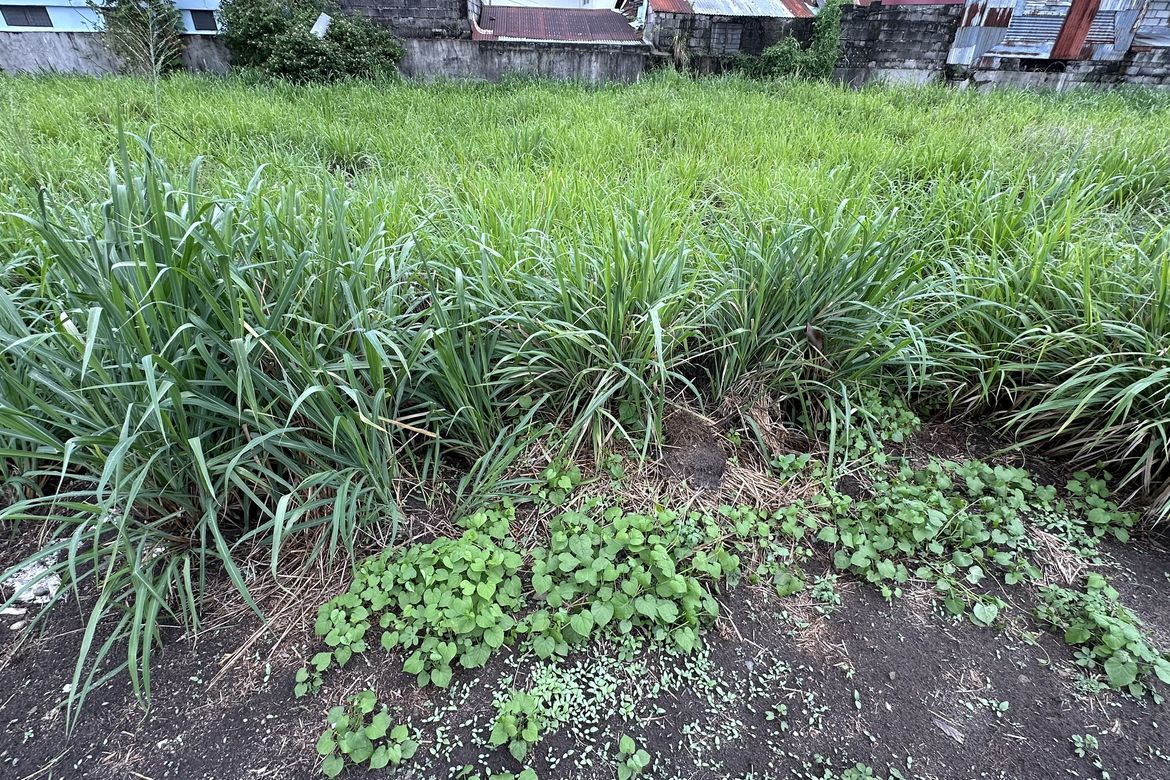 Land for Sale in Rosewood Parkhomes, Angeles, Pampanga – photo 6