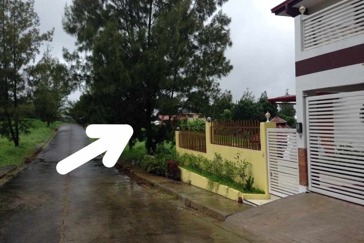 Land for Sale in Royale Tagaytay Estates, Buck Estate, Alfonso, Cavite