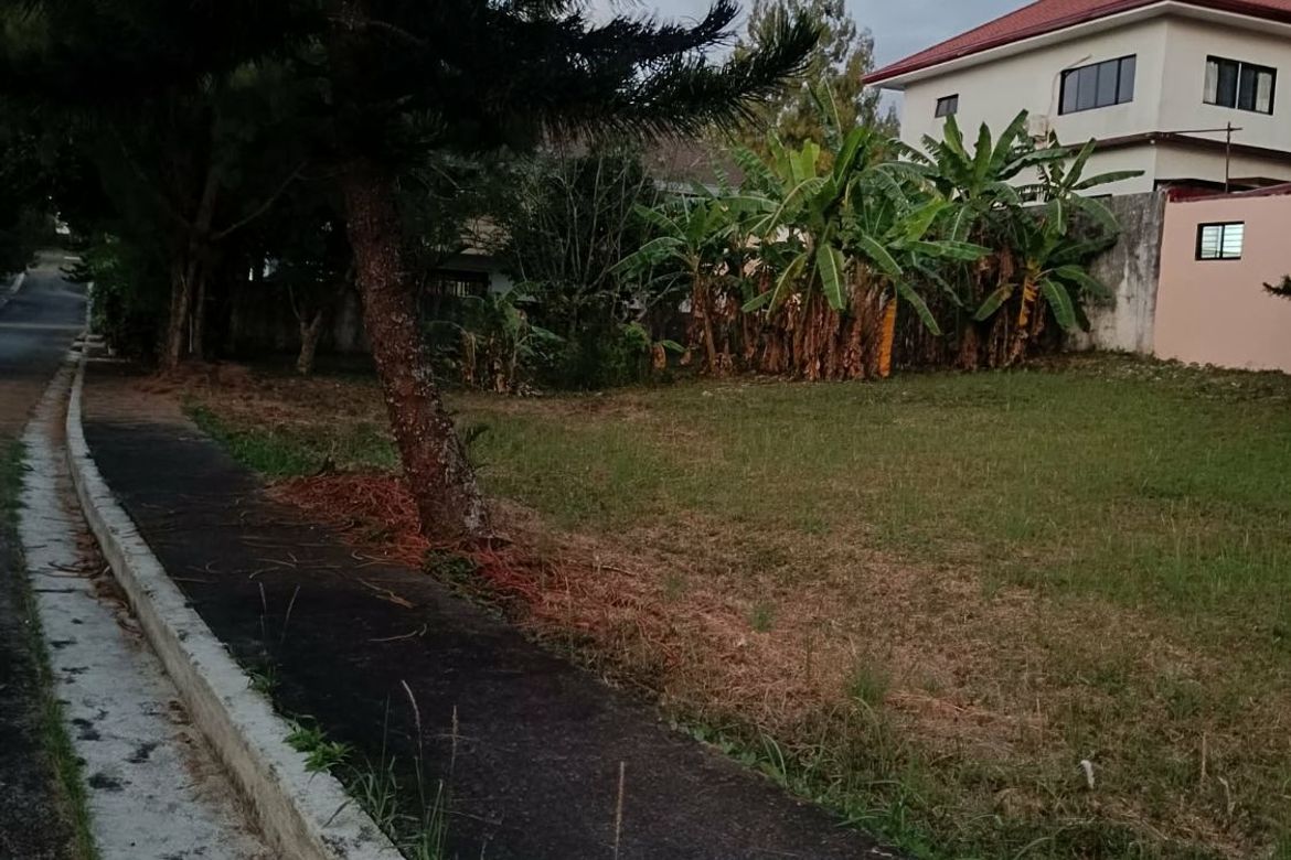 Land for Sale in Royale Tagaytay Estates, Buck Estate, Alfonso, Cavite – photo 3