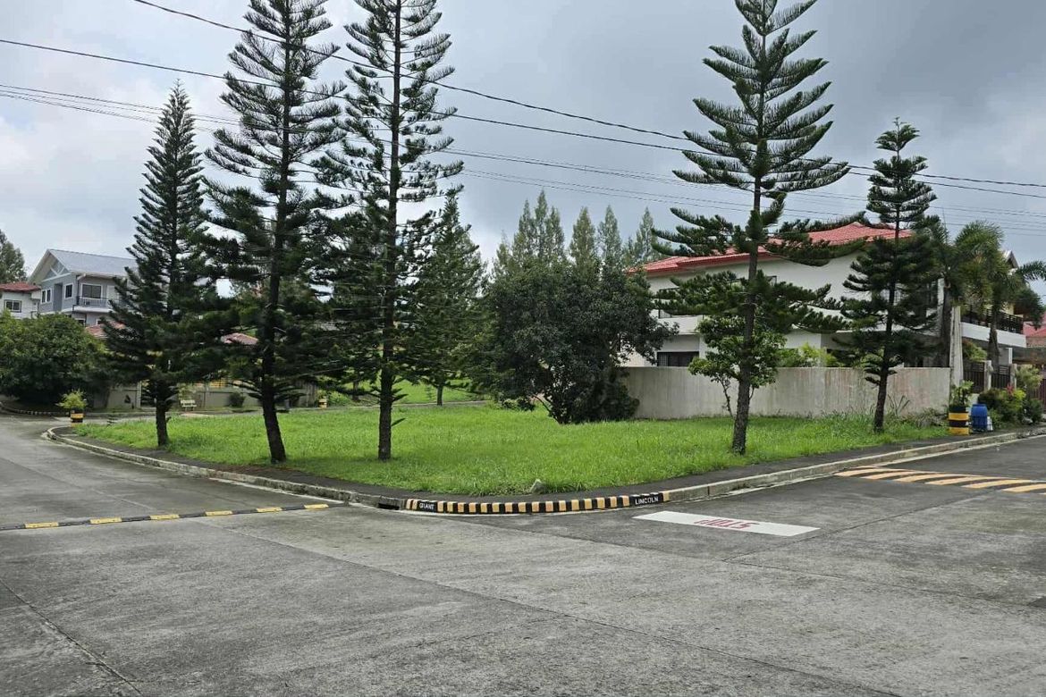 Land for Sale in Royale Tagaytay Estates, Buck Estate, Alfonso, Cavite – photo 3