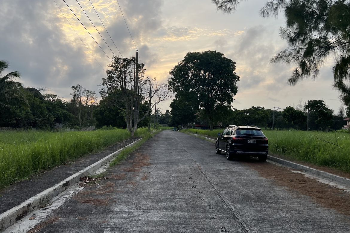 Land for Sale in Royale Tagaytay Estates, Buck Estate, Alfonso, Cavite – photo 4