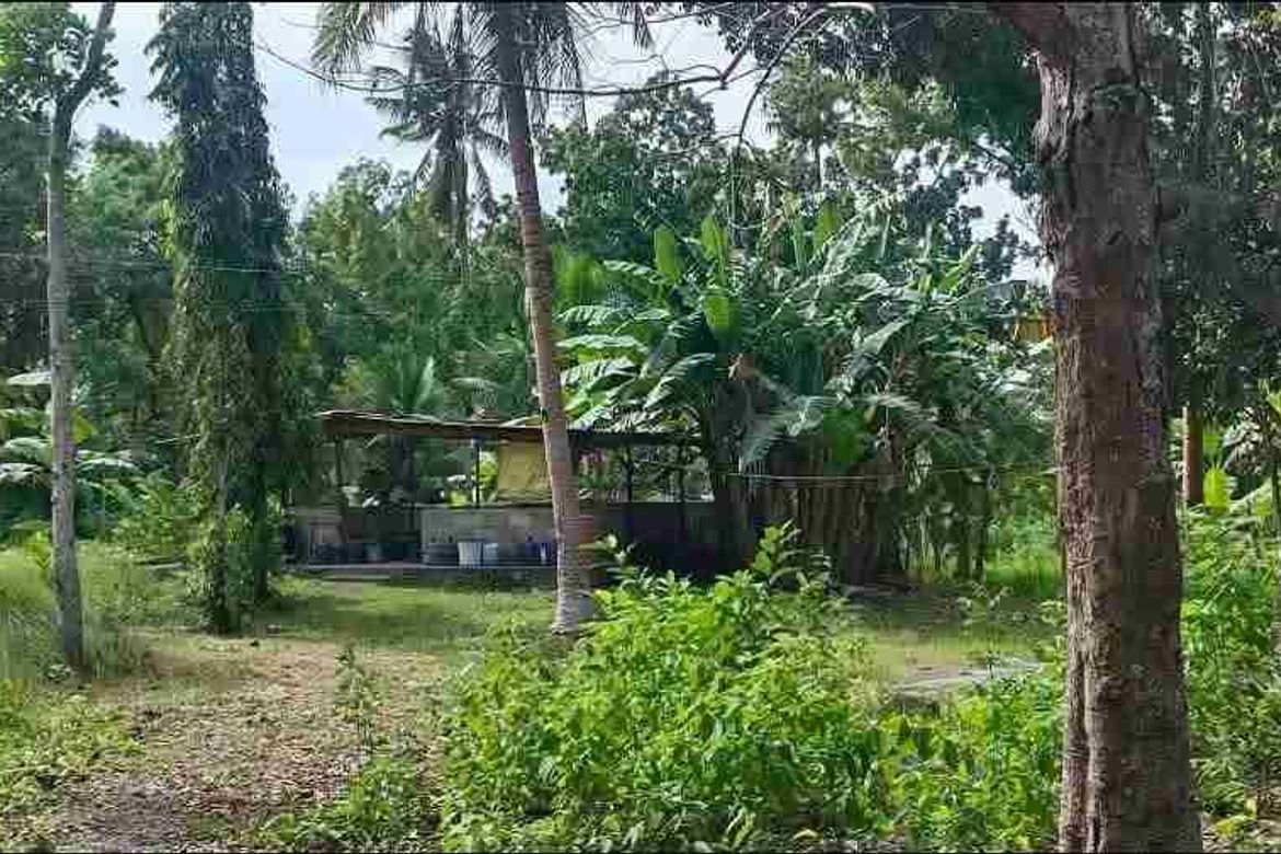 Land for Sale in Saavedra, Moalboal, Cebu – photo 6