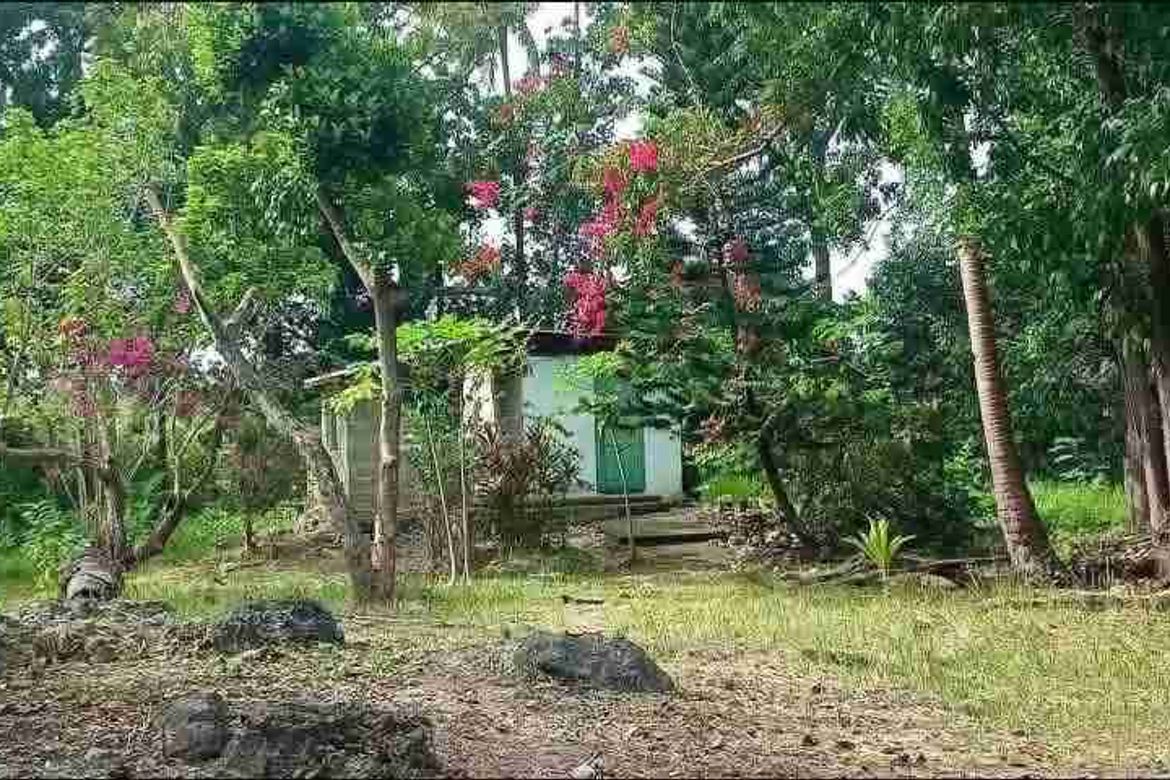 Land for Sale in Saavedra, Moalboal, Cebu – photo 7