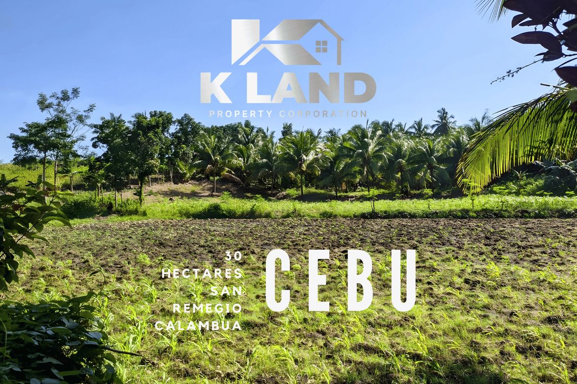 Land for Sale in Sab-A, San Remigio, Cebu