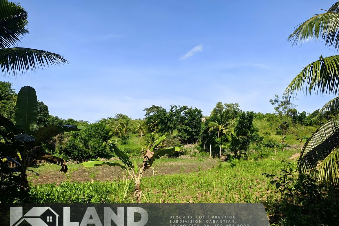 Land for Sale in Sab-A, San Remigio, Cebu – photo 5