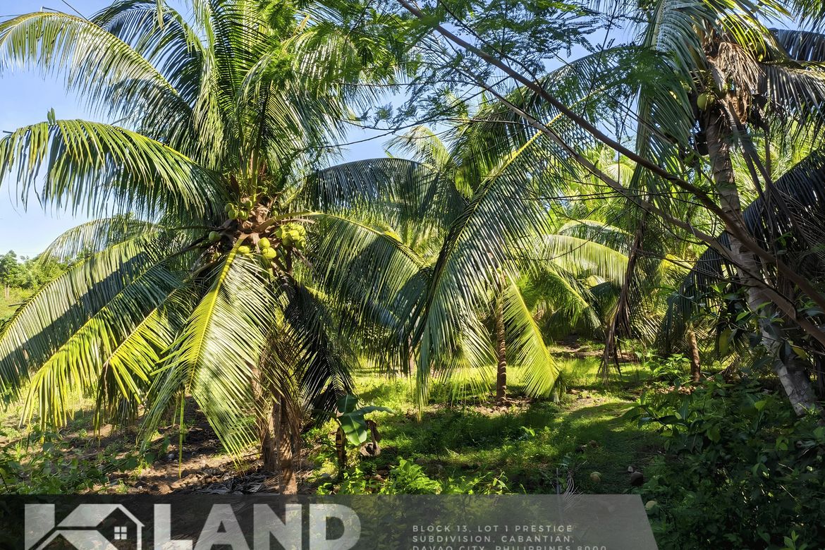 Land for Sale in Sab-A, San Remigio, Cebu – photo 6