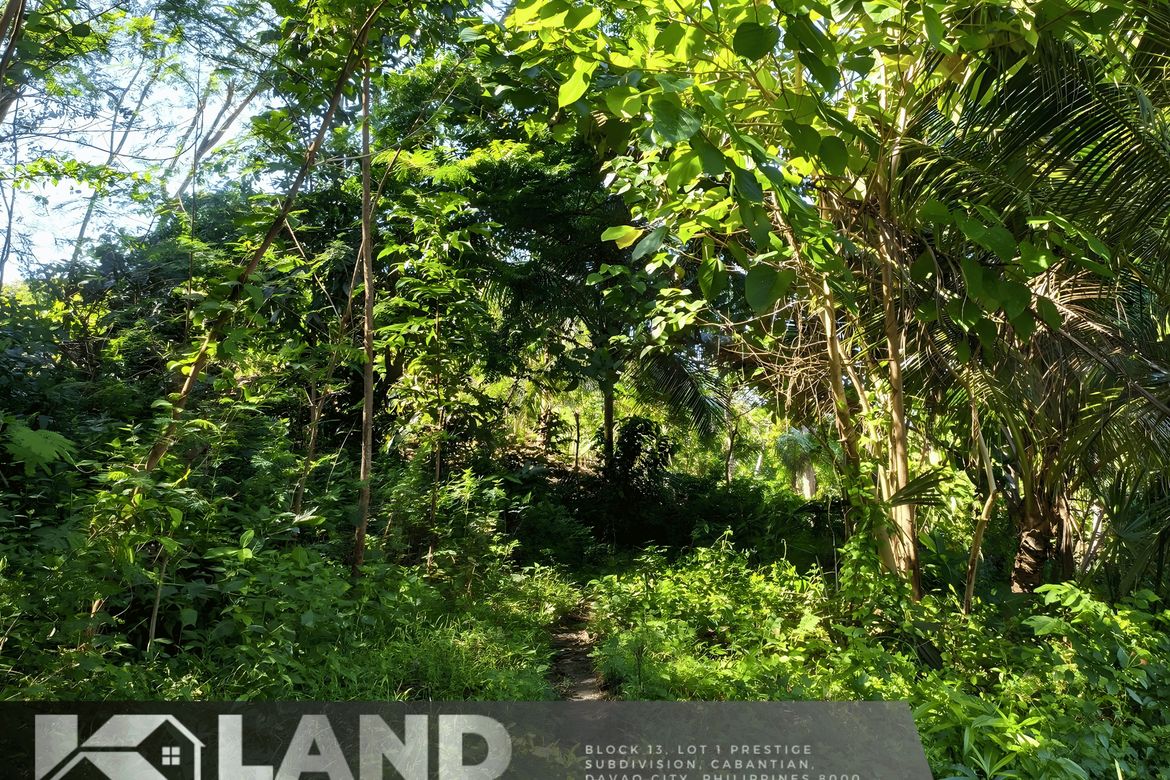Land for Sale in Sab-A, San Remigio, Cebu – photo 7