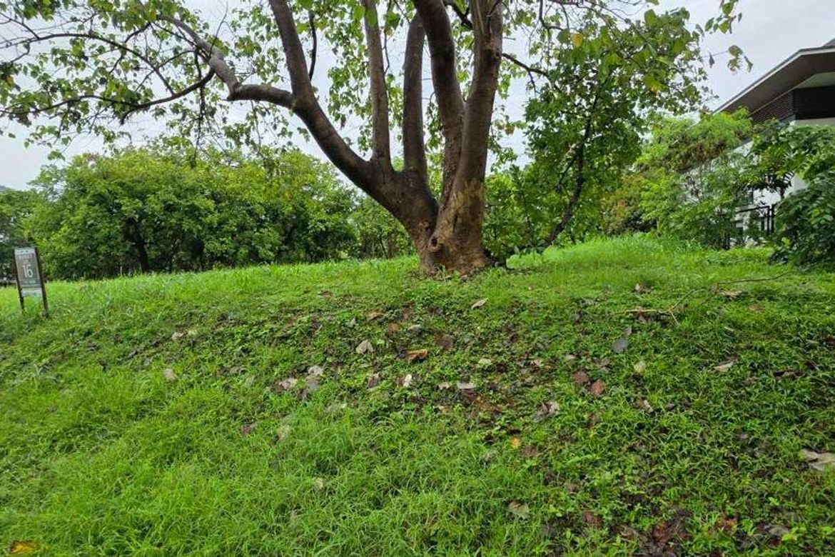 Land for Sale in Sabang, Morong, Bataan – photo 2