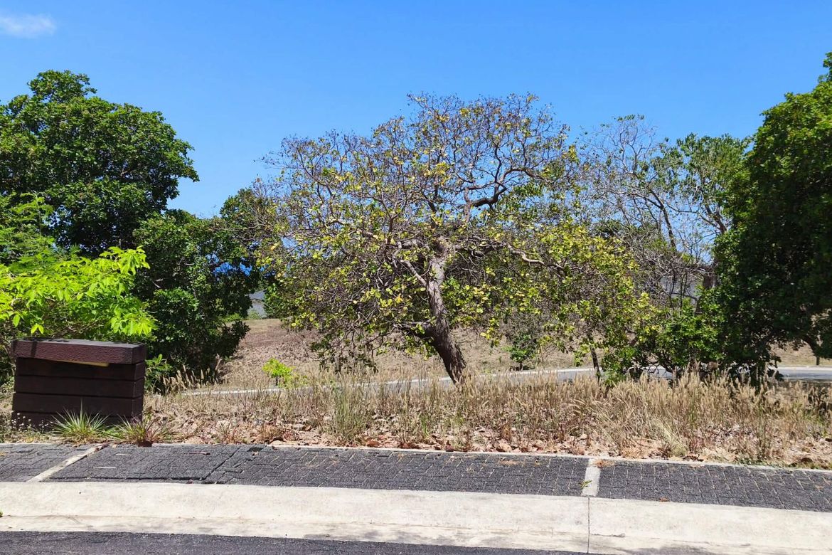 Land for Sale in Sabang, Morong, Bataan – photo 4