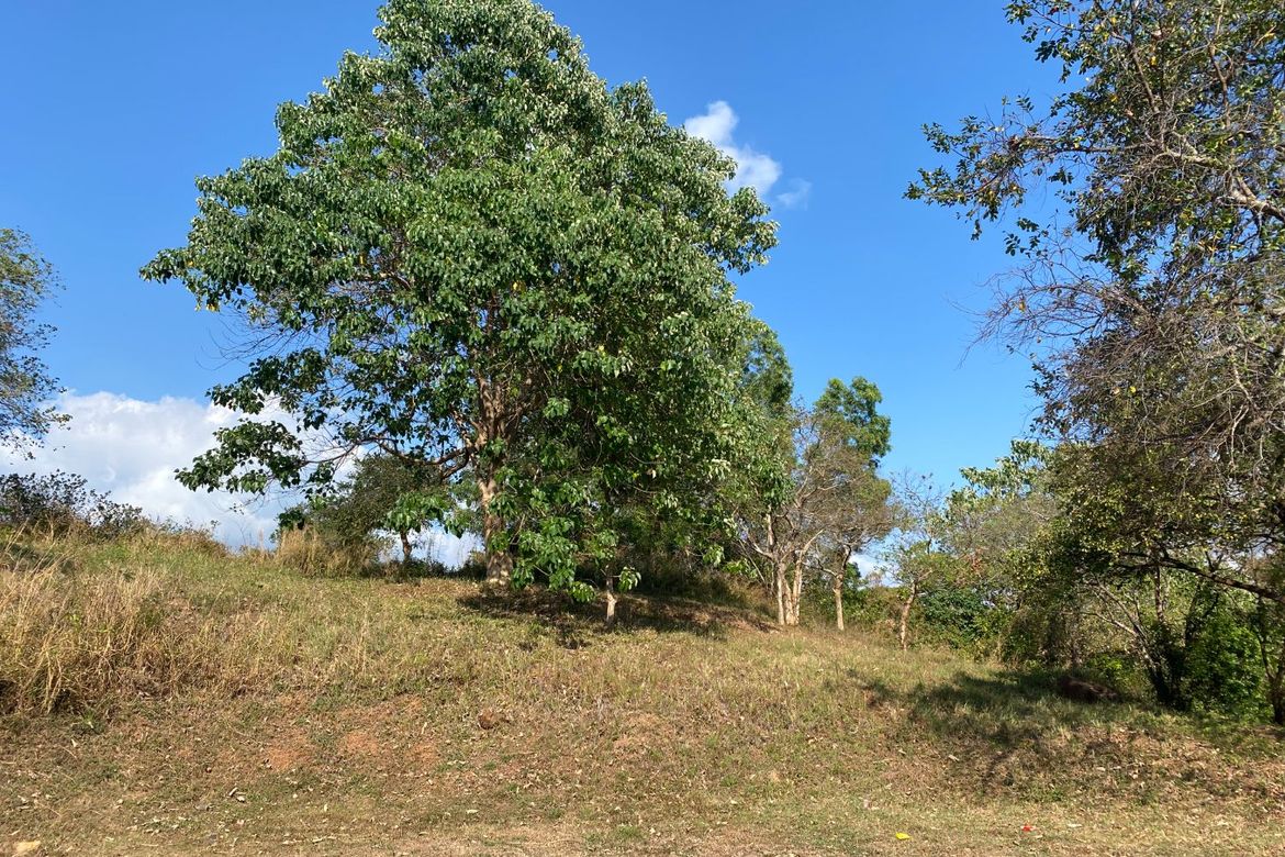 Land for Sale in Sabang, Morong, Bataan – photo 5