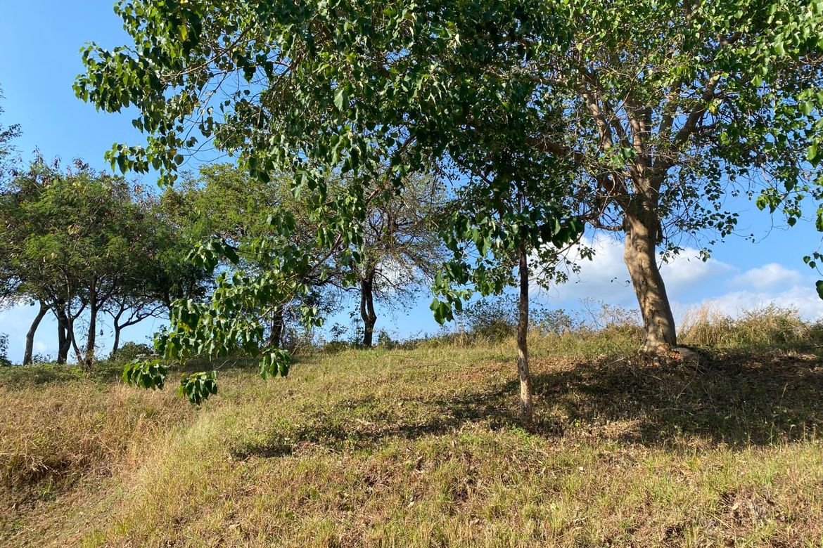Land for Sale in Sabang, Morong, Bataan – photo 7