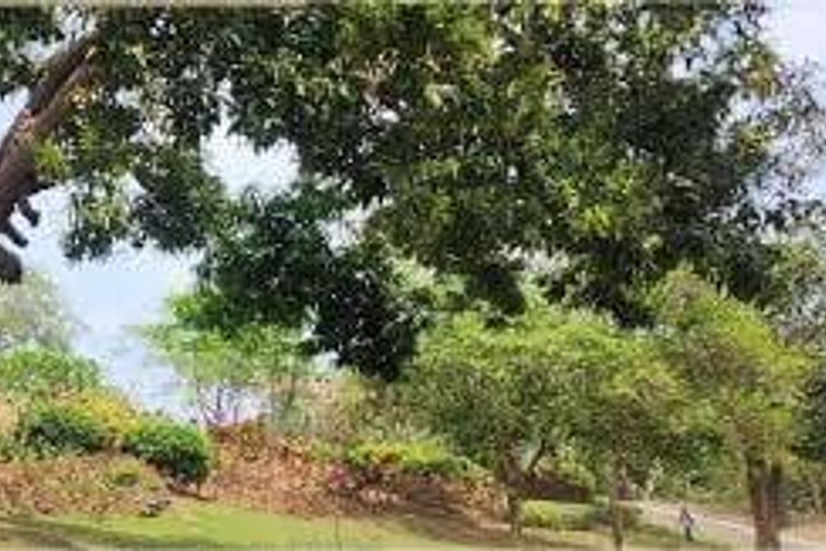 Land for Sale in Sabang, Morong, Bataan – photo 4
