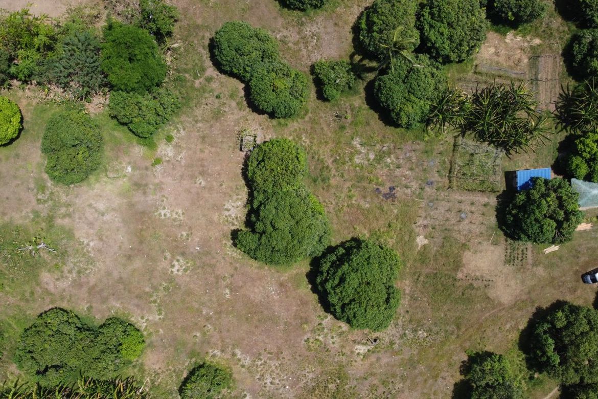 Land for Sale in Sabang, Pagsanjan, Laguna