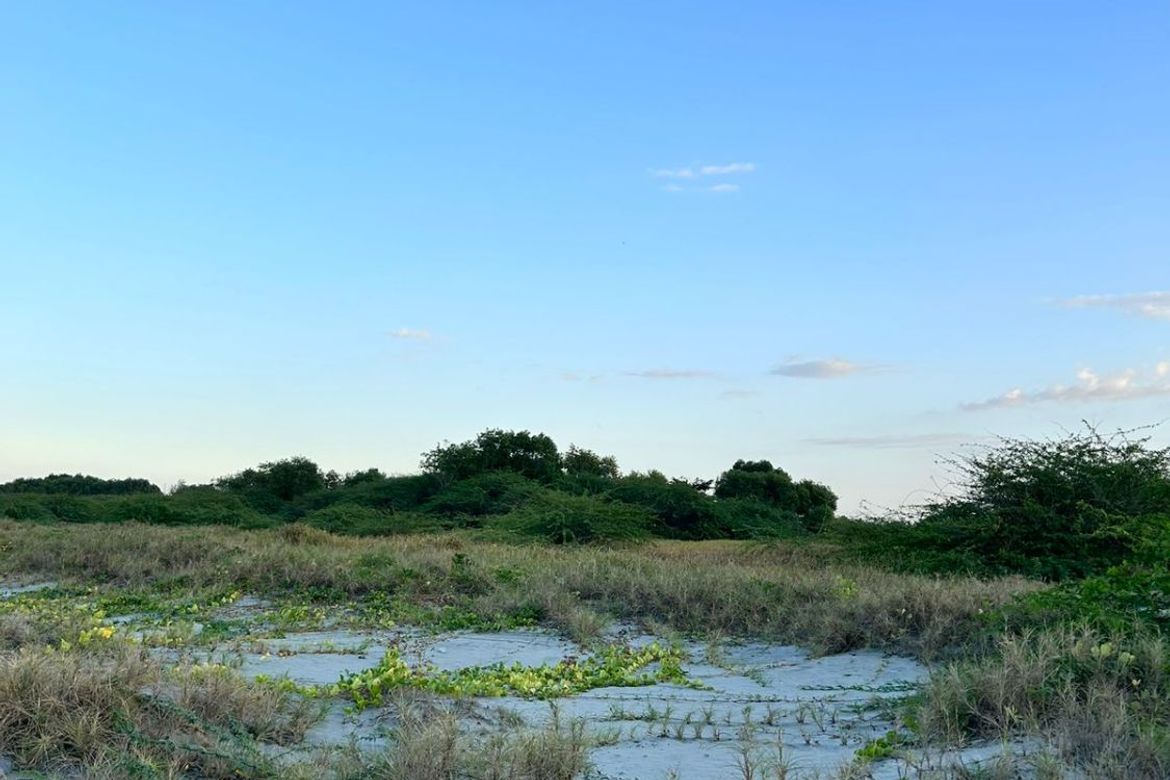 Land for Sale in Sabangan, Lingayen, Pangasinan – photo 5