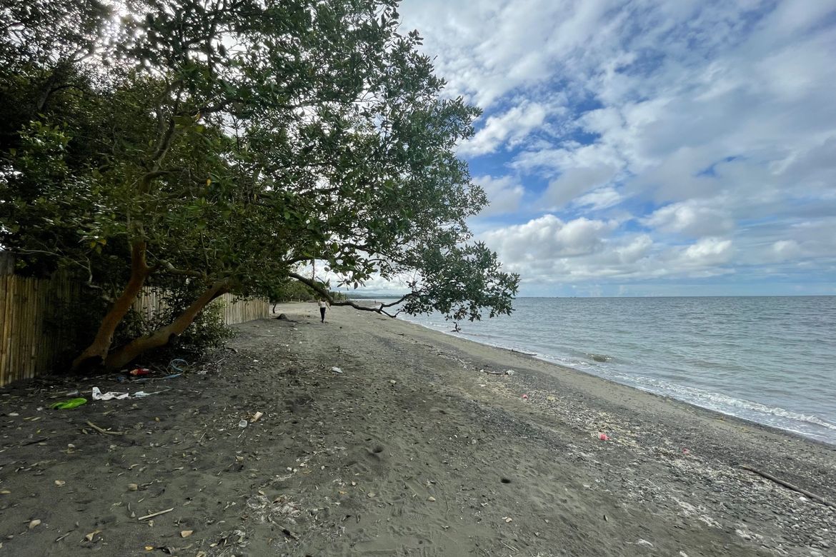 Land for Sale in Sacol, Buenavista, Agusan del Norte – photo 2