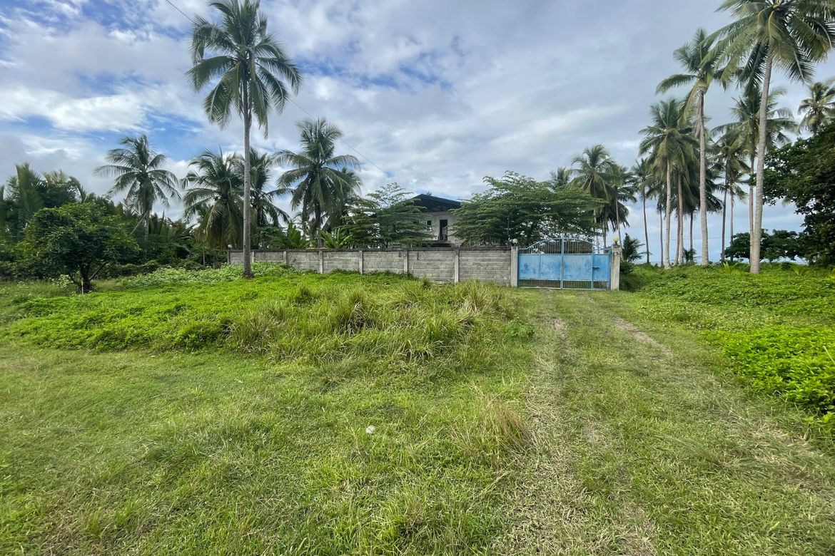 Land for Sale in Sacol, Buenavista, Agusan del Norte – photo 4