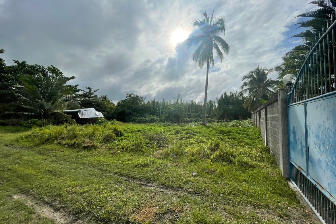 Land for Sale in Sacol, Buenavista, Agusan del Norte – photo 5