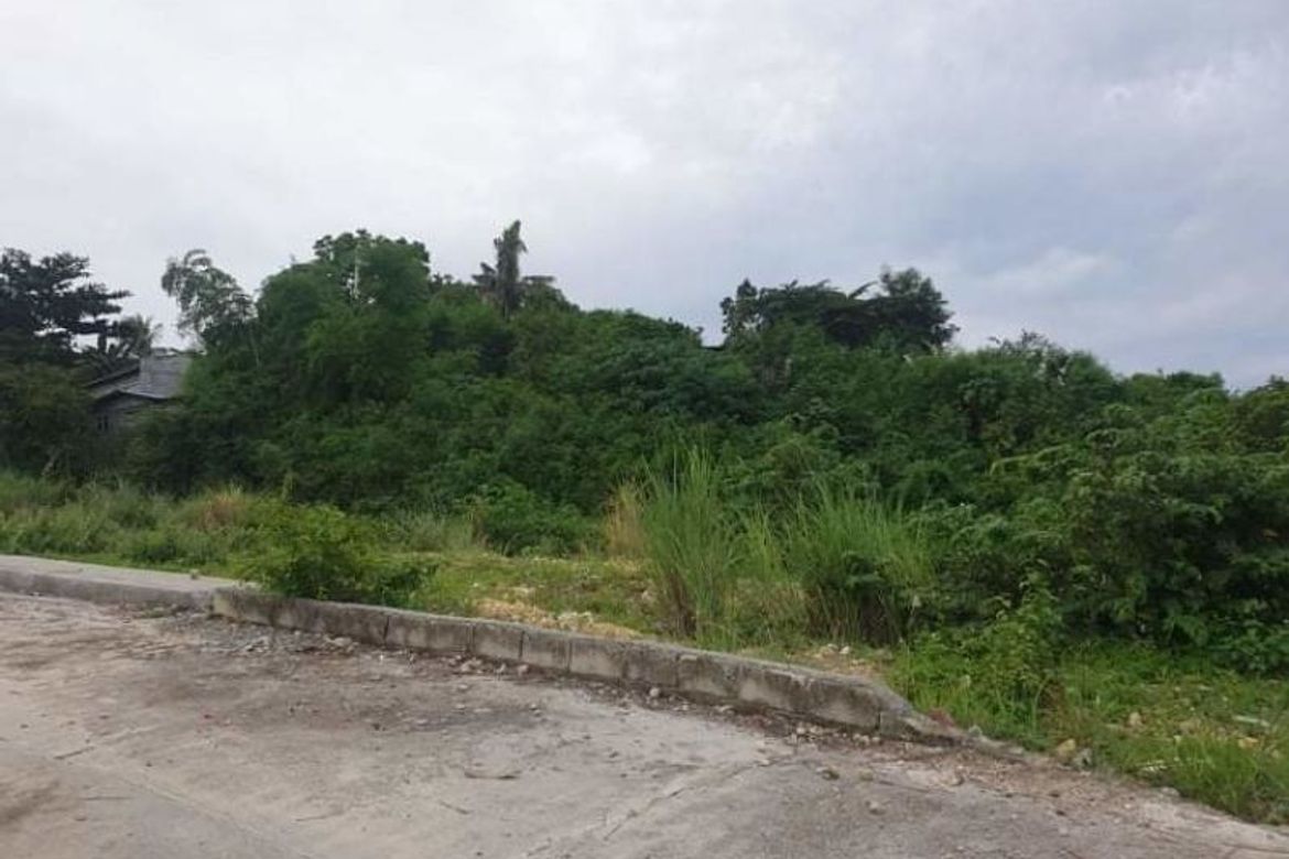 Land for Sale in Sacsac, Consolacion, Cebu – photo 7