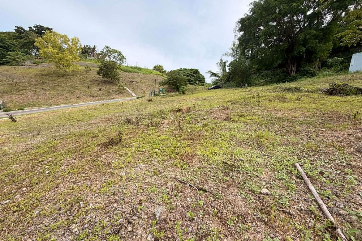 Land for Sale in Sacsac, Consolacion, Cebu – photo 5
