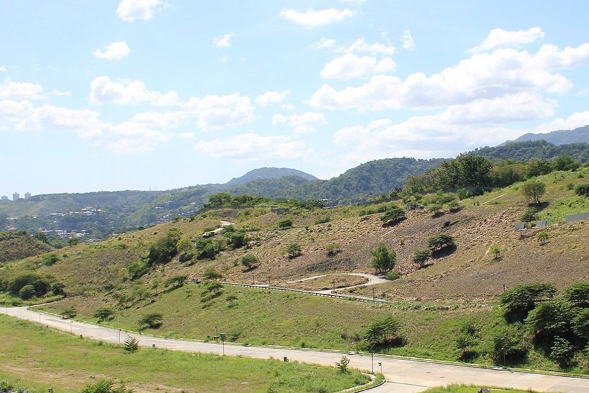 Land for Sale in Sacsac, Consolacion, Cebu – photo 4