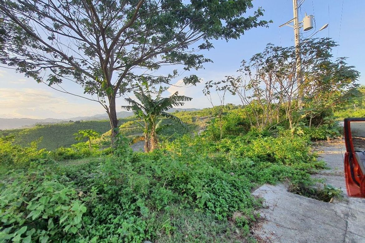 Land for Sale in Sacsac, Consolacion, Cebu – photo 2
