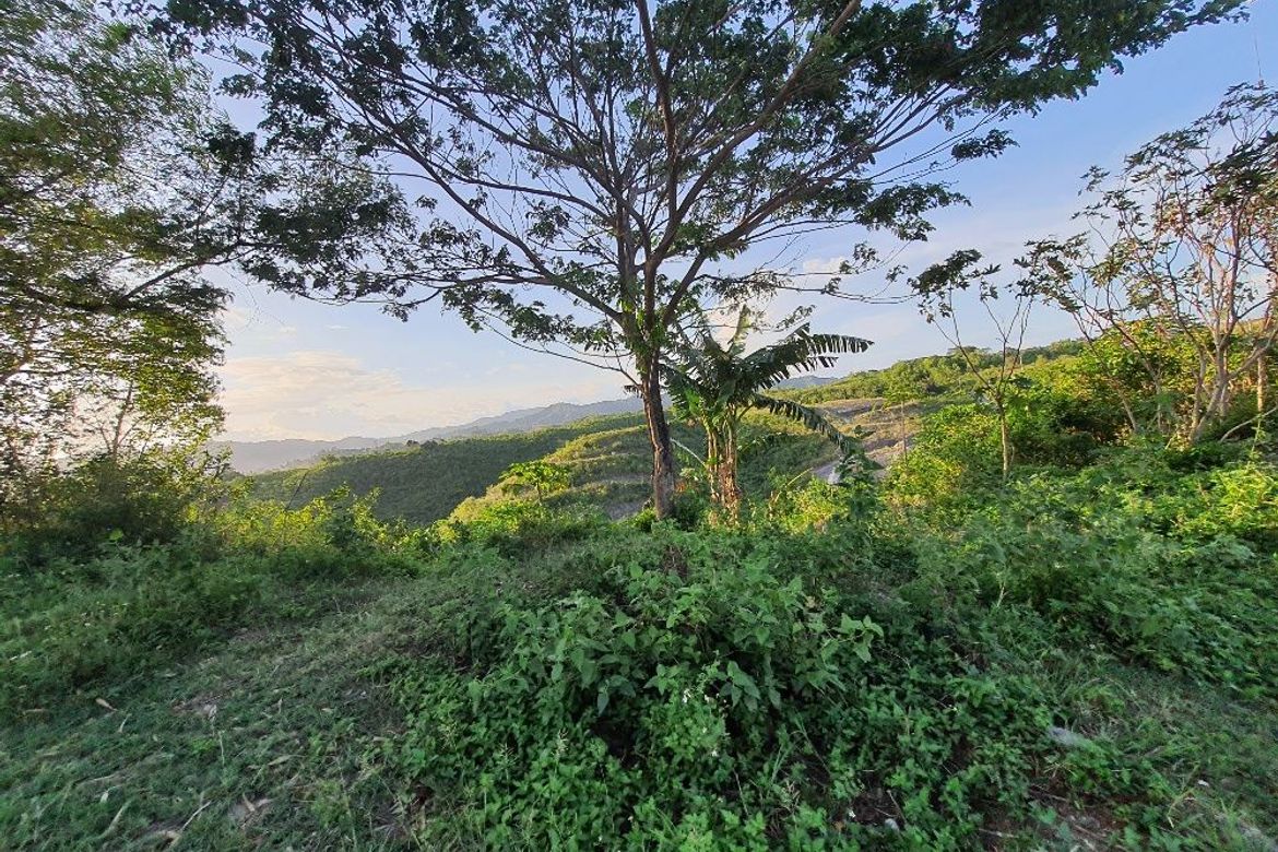 Land for Sale in Sacsac, Consolacion, Cebu – photo 3