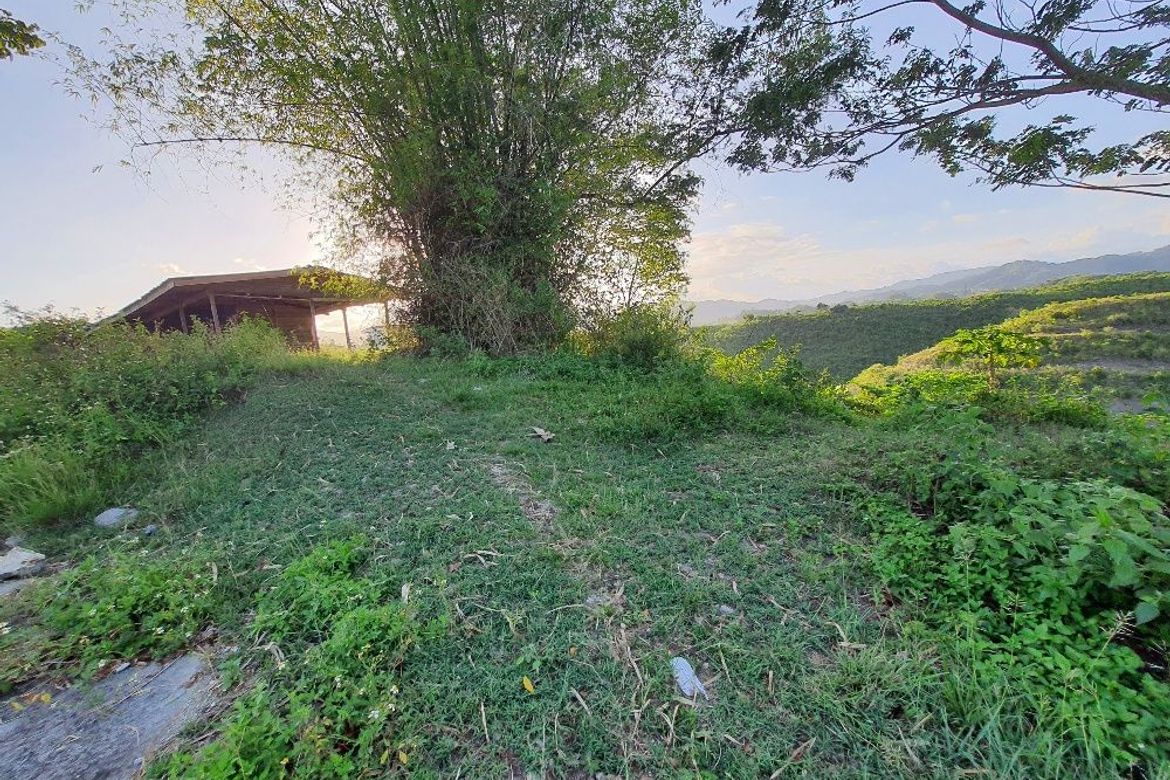 Land for Sale in Sacsac, Consolacion, Cebu – photo 8