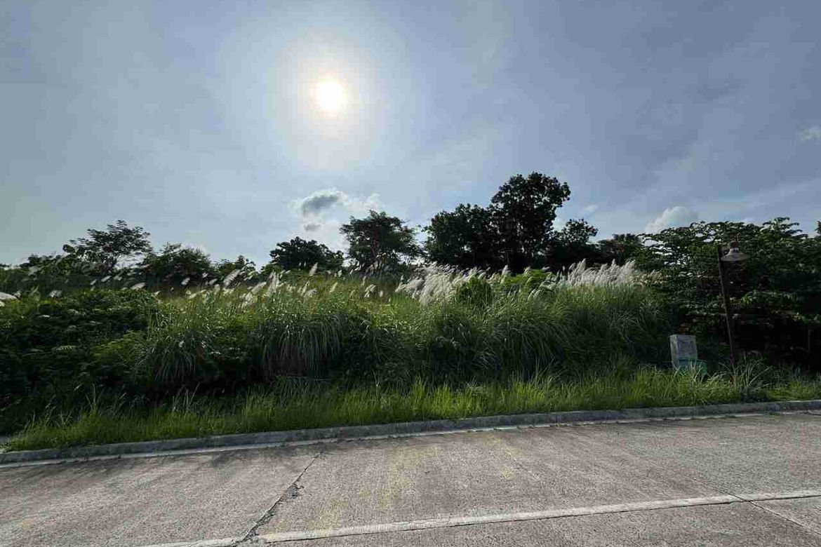 Land for Sale in Sacsac, Consolacion, Cebu – photo 7