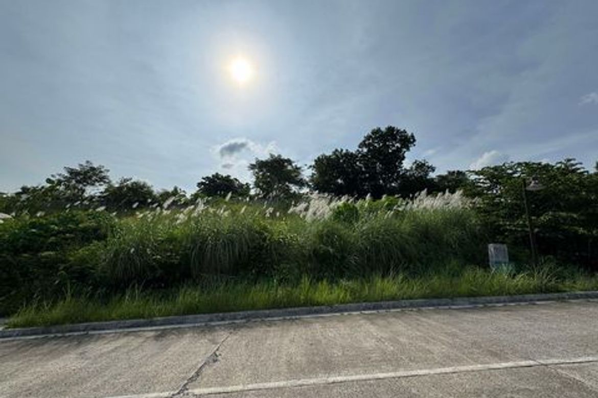 Land for Sale in Sacsac, Consolacion, Cebu – photo 7