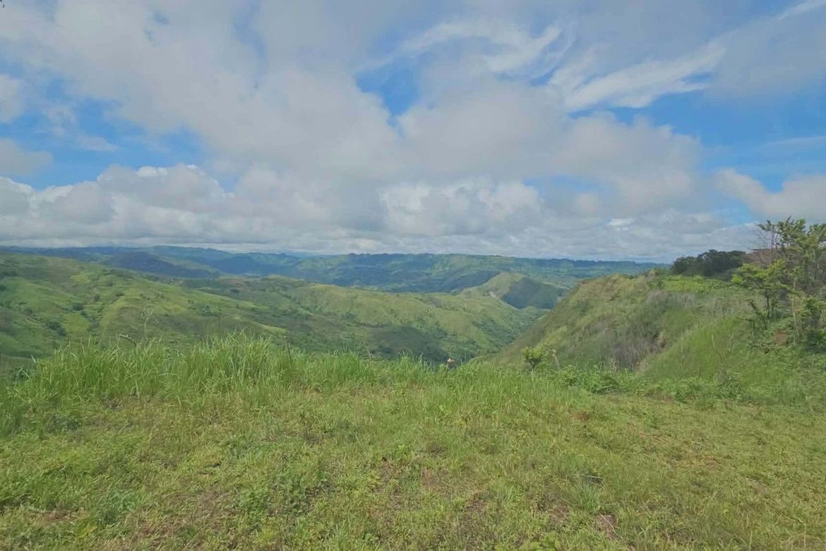 Land for Sale in Sagundanon, Kitaotao, Bukidnon – photo 3