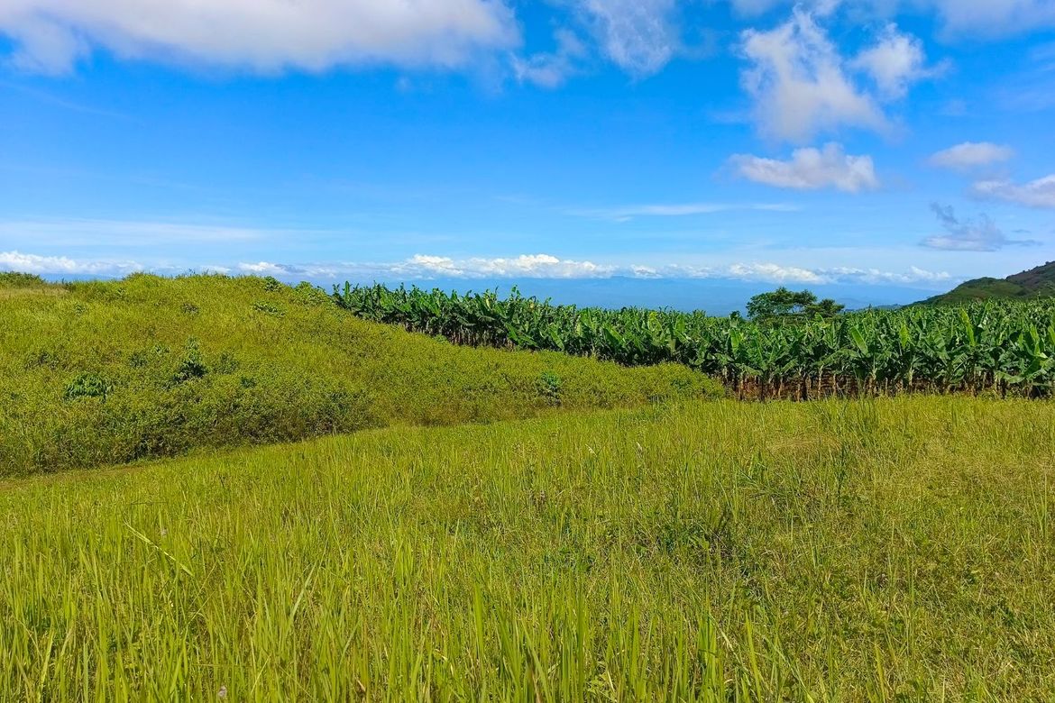 Land for Sale in Sagundanon, Kitaotao, Bukidnon – photo 6