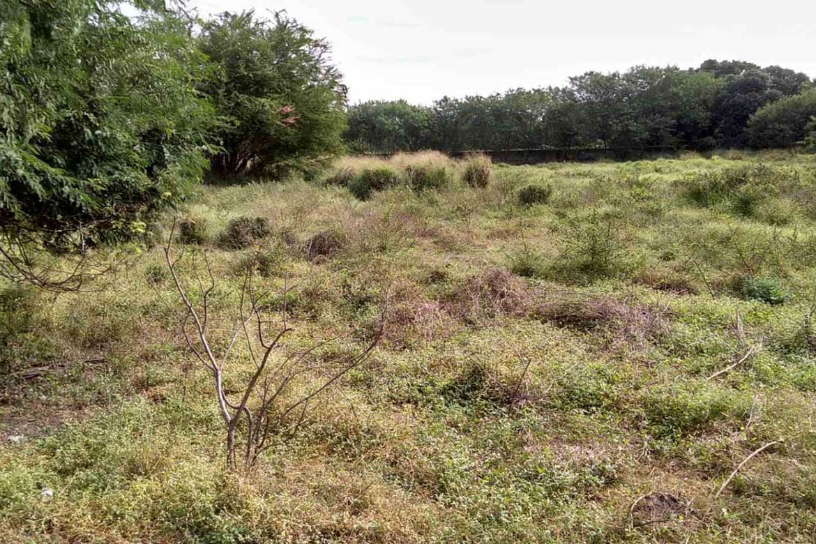 Land for Sale in Sahud Ulan, Tanza, Cavite