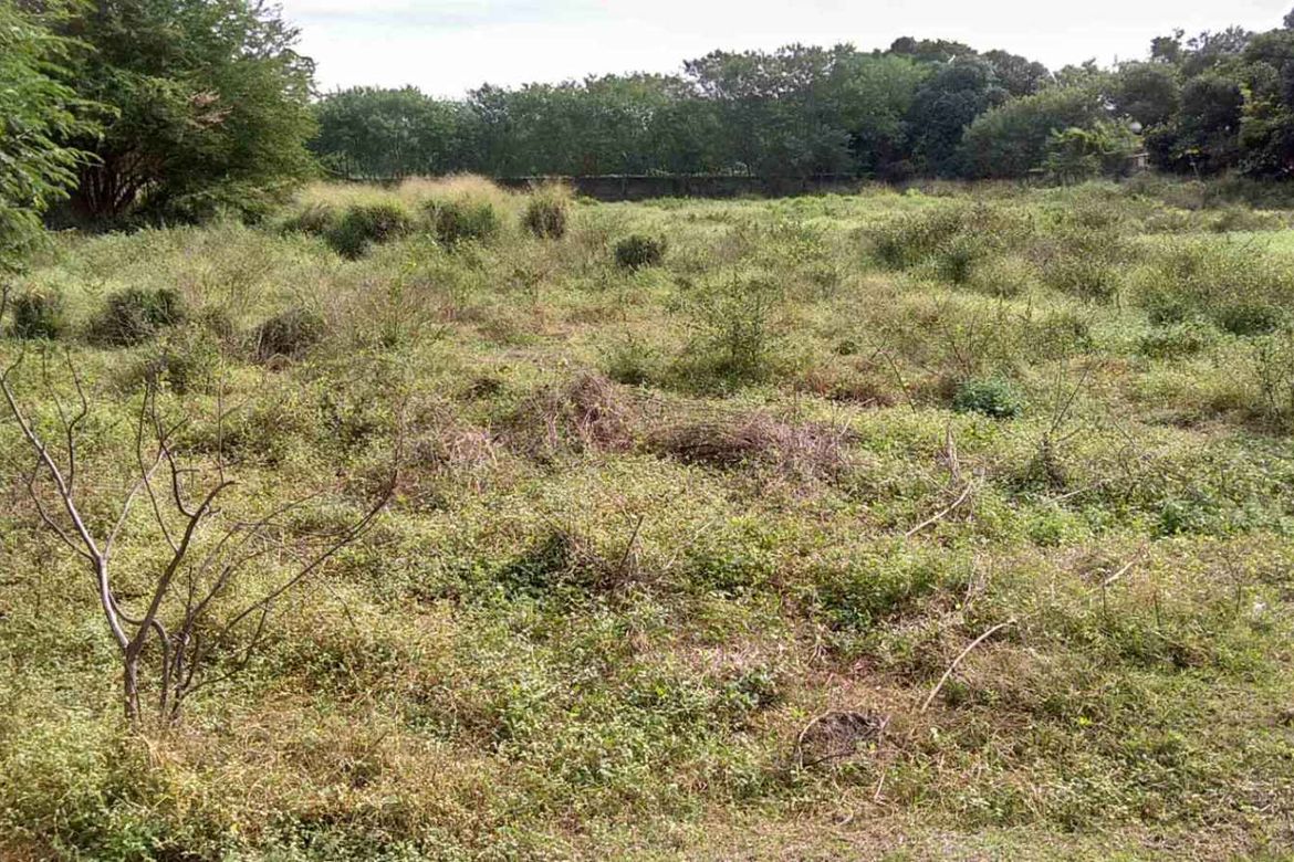 Land for Sale in Sahud Ulan, Tanza, Cavite – photo 2