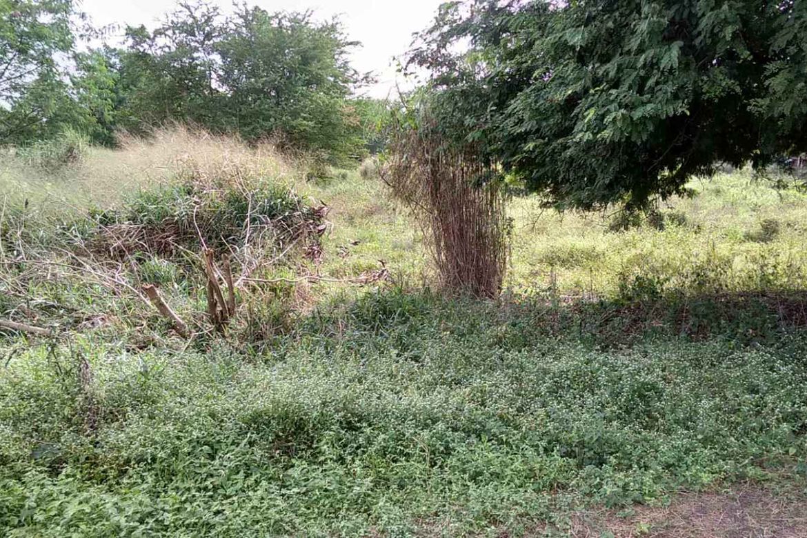 Land for Sale in Sahud Ulan, Tanza, Cavite – photo 3
