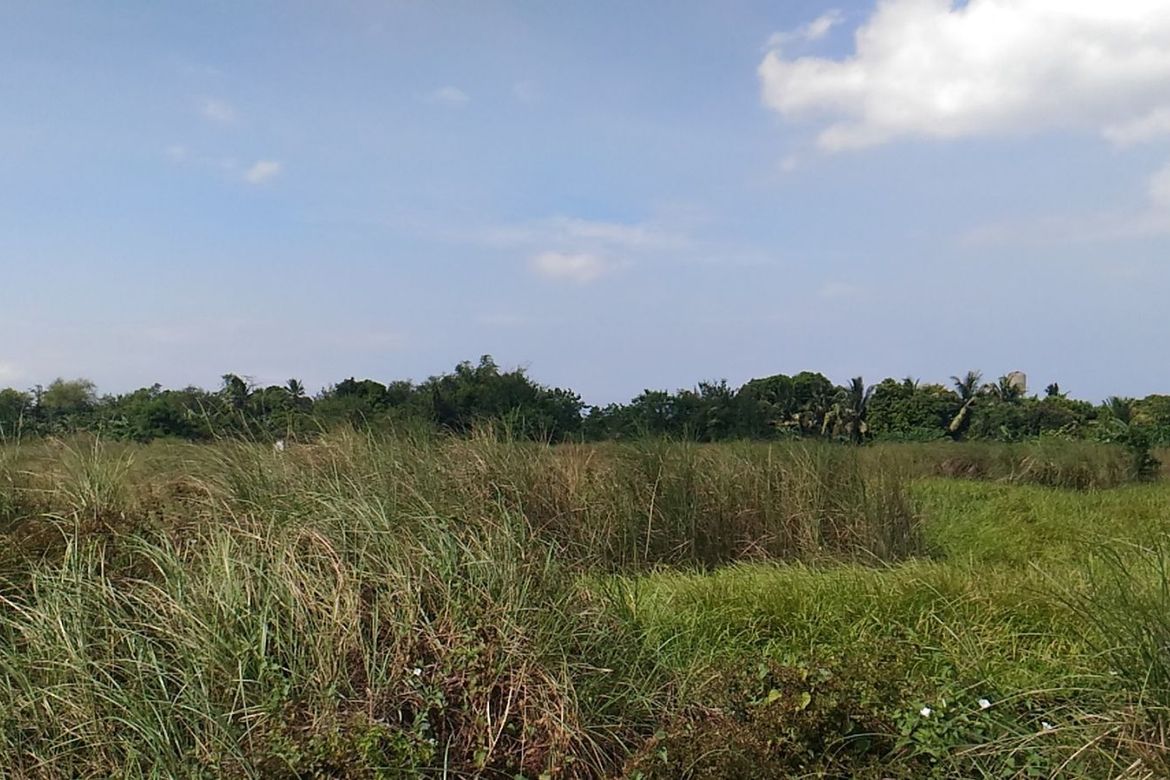 Land for Sale in Sahud Ulan, Tanza, Cavite – photo 5