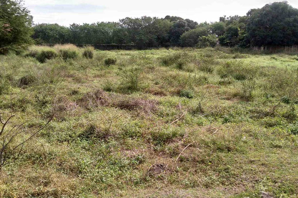 Land for Sale in Sahud Ulan, Tanza, Cavite – photo 6