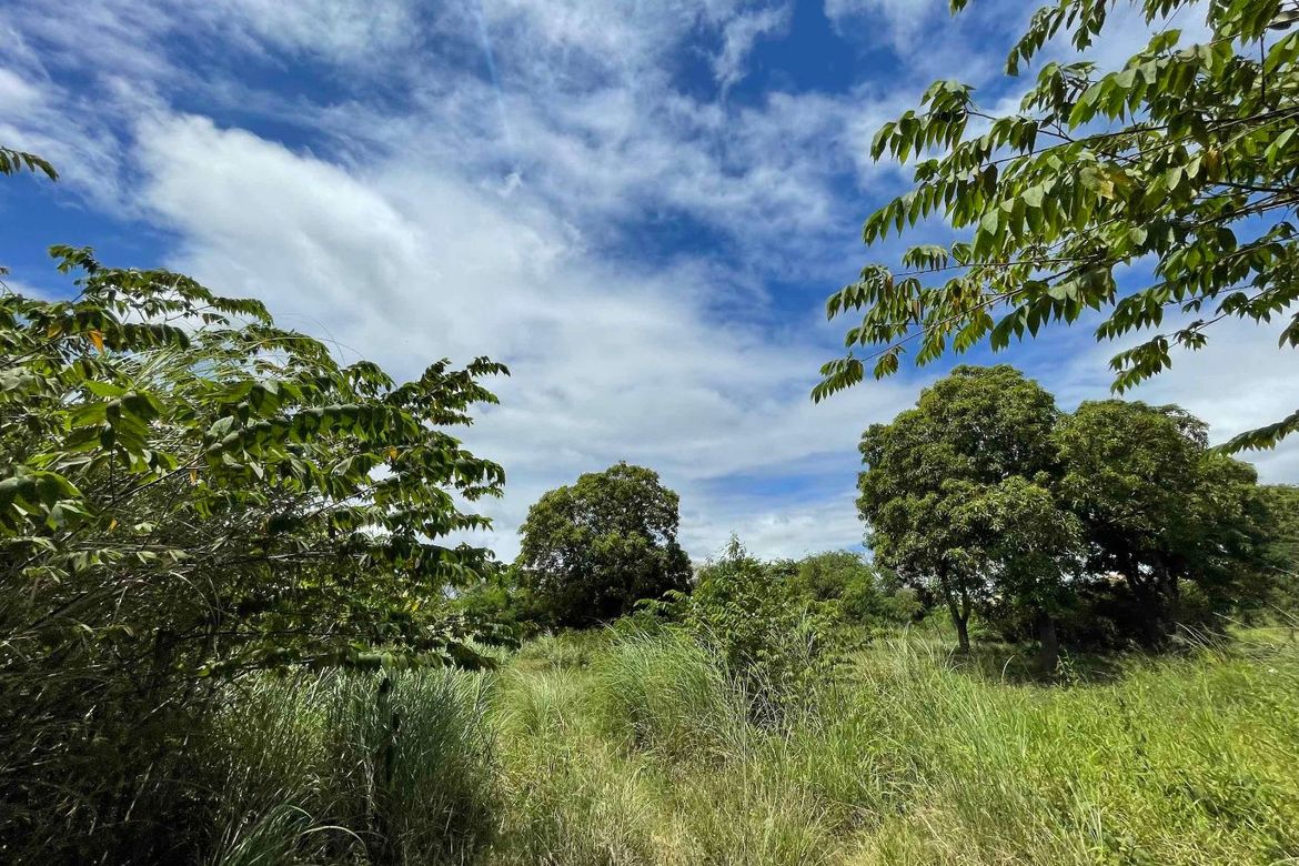 Land for Sale in Sala, Cabuyao, Laguna – photo 3