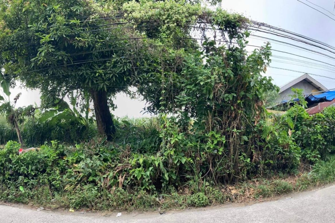 Land for Sale in Salaban, Amadeo, Cavite