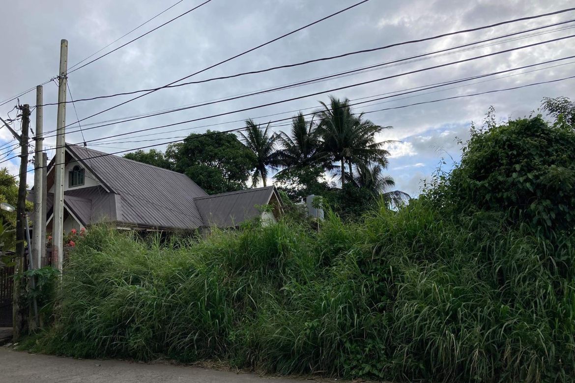 Land for Sale in Salaban, Amadeo, Cavite – photo 2