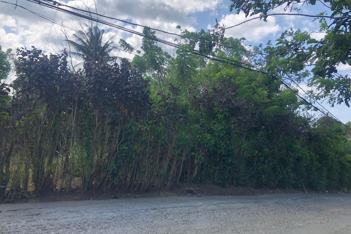 Land for Sale in Salaban, Amadeo, Cavite – photo 3