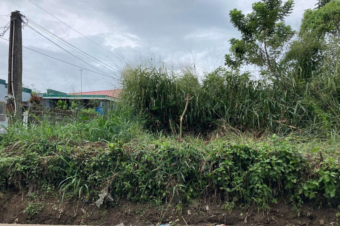Land for Sale in Salaban, Amadeo, Cavite – photo 5