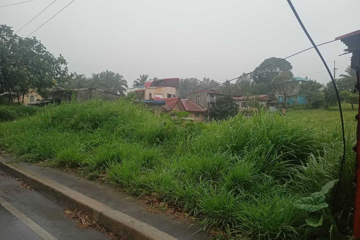 Land for Sale in Salaban, Amadeo, Cavite