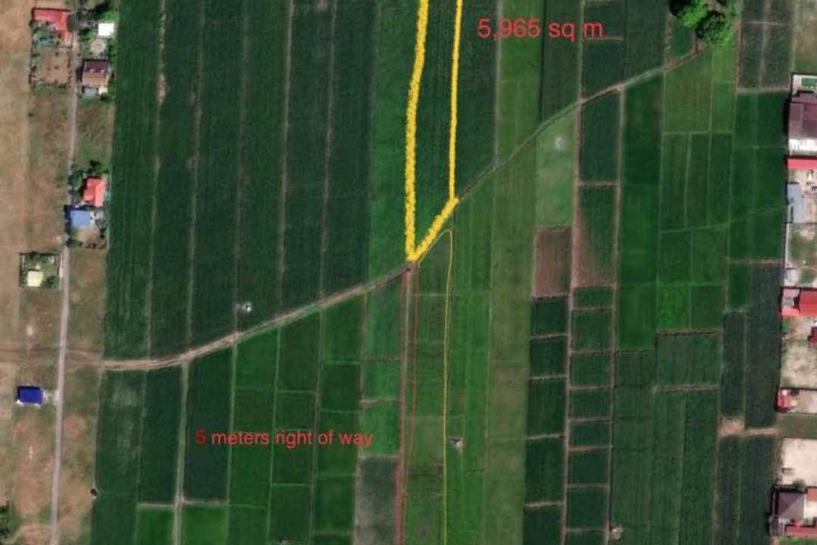 Land for Sale in Salagusog, Cuyapo, Nueva Ecija – photo 4