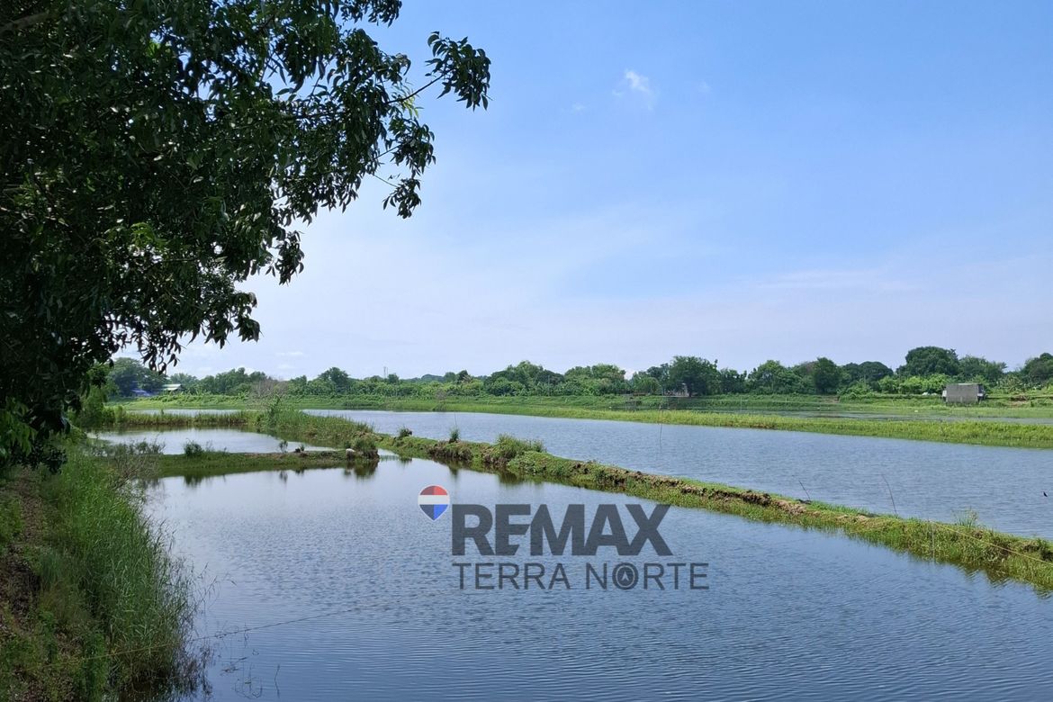 Land for Sale in Salasa, Bugallon, Pangasinan