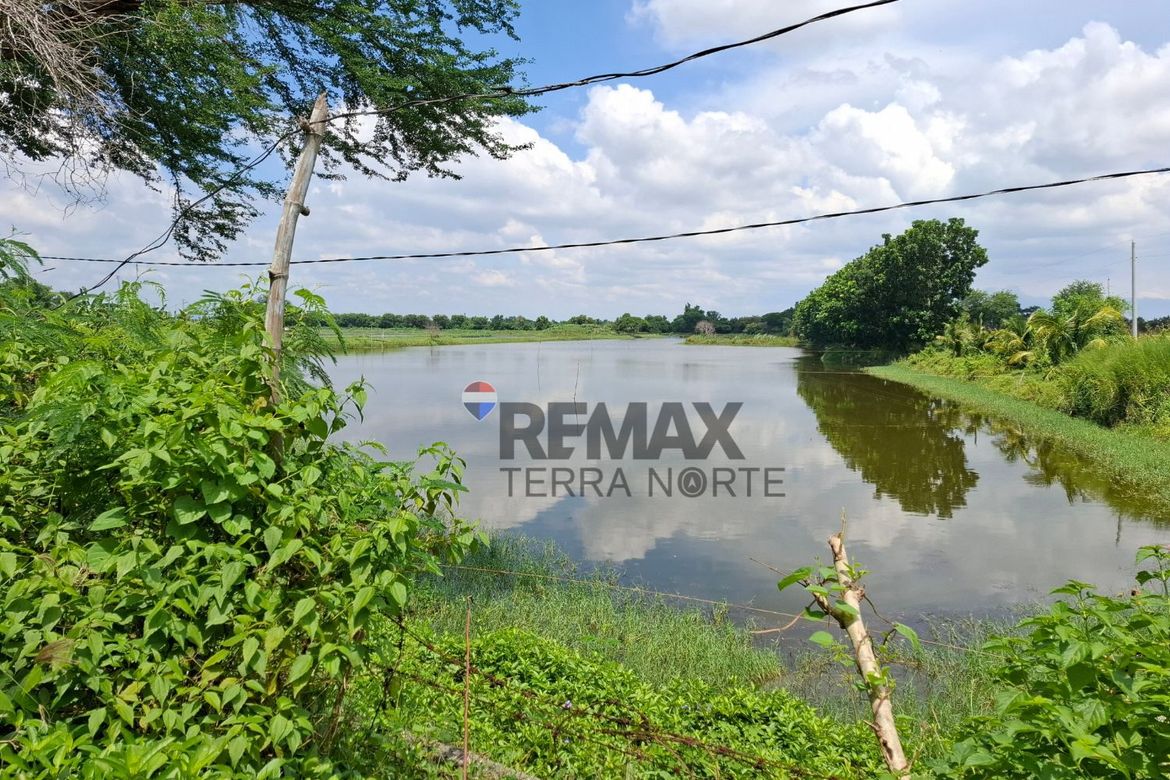 Land for Sale in Salasa, Bugallon, Pangasinan – photo 2