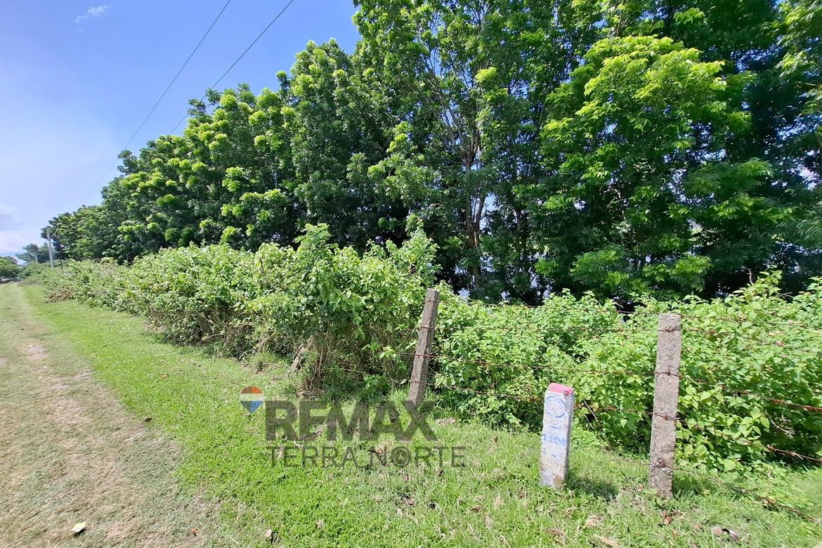 Land for Sale in Salasa, Bugallon, Pangasinan – photo 4