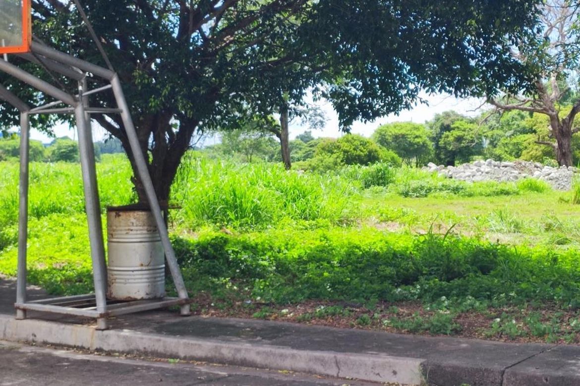 Land for Sale in Salawag, Dasmariñas, Cavite – photo 6