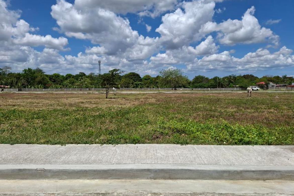 Land for Sale in Salawag, Dasmariñas, Cavite – photo 7