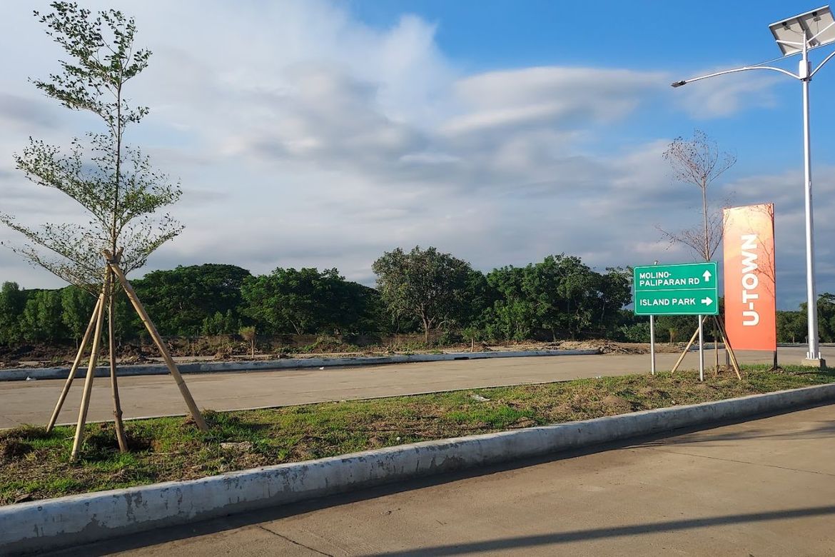 Land for Sale in Salawag, Dasmariñas, Cavite – photo 8