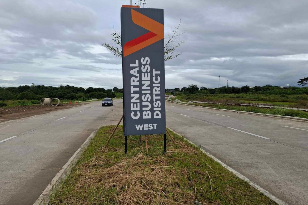 Land for Sale in Salawag, Dasmariñas, Cavite – photo 2